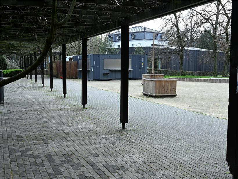 Graue Essenscontainer im grünen Park bieten Getränke und Snacks für Besucher an.