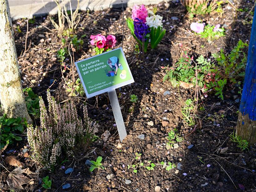 Straßengärtnern im Bahnhofsviertel, Bonneweg und Limpertsberg – gemeinschaftliche Gartenflächen in der Stadt