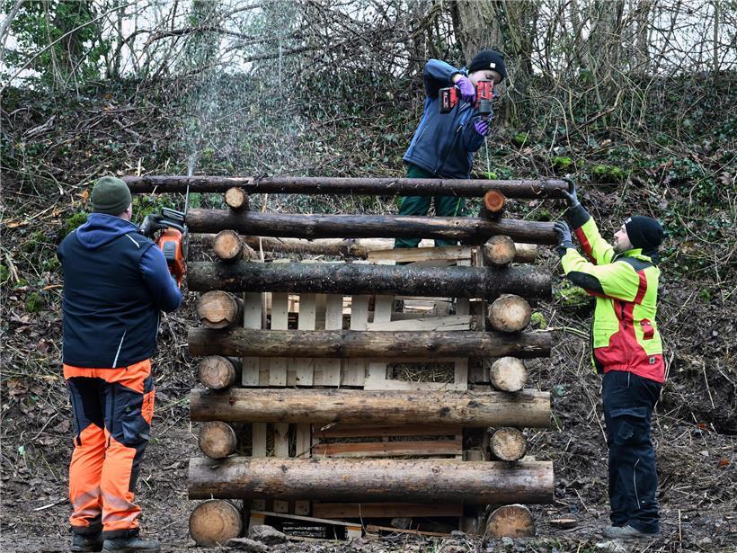 Kinderburg aus Holz im Bau, 2,5 Meter hoch, Spielplatz für Kinder, sicher und langlebig