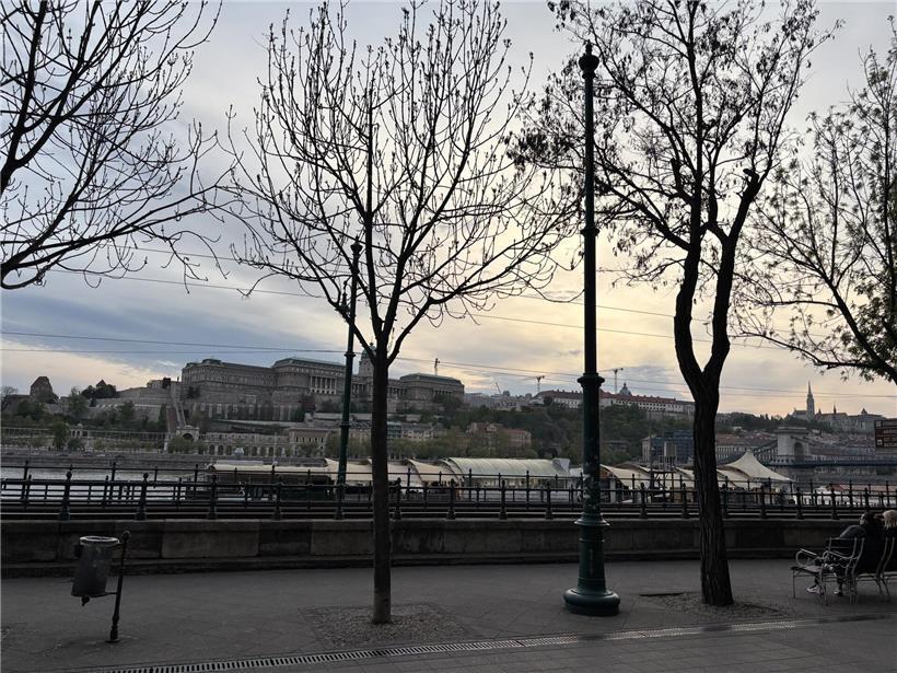 Abenddämmerung über der Donau mit ruhigem Wasser und sanftem Himmel im natürlichen Flusslandschaftsbild