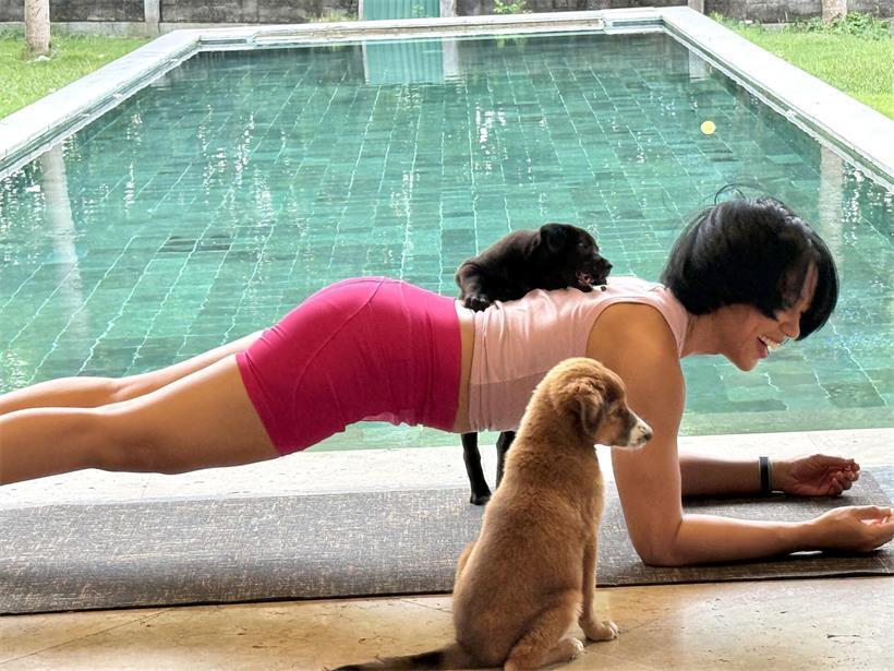 Alles andere als süß: Puppy-Yoga kann für die Jungtiere gesundheitsschädigend sein
