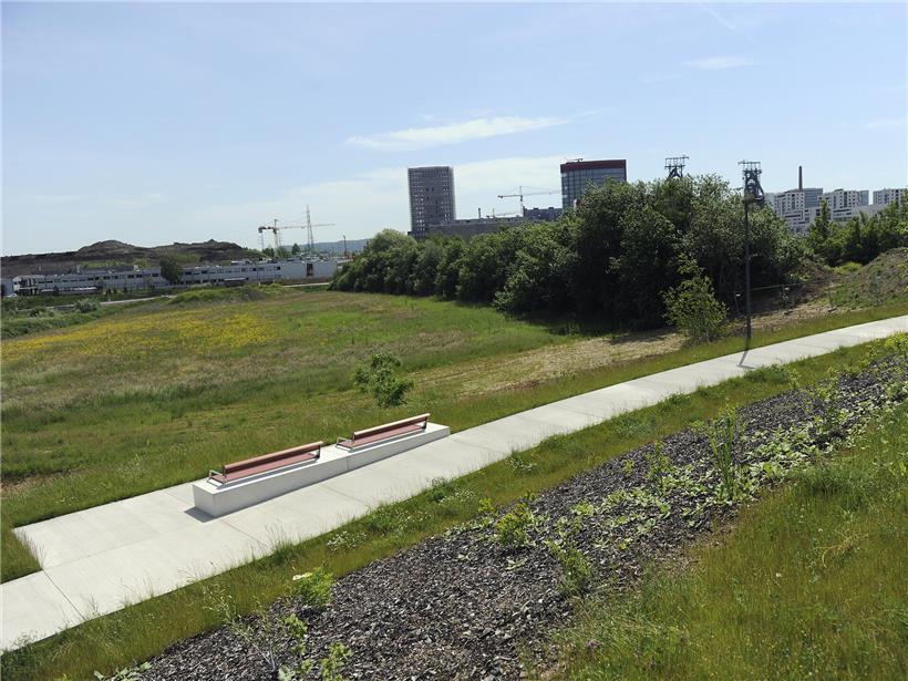 Sitzgelegenheiten im sonnigen Park Belval mit grünen Bäumen und klar blauem Himmel