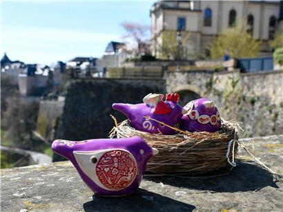 Seltenes Vögel-Motiv des Péckvillchen bei Safari in natürlichem Lebensraum