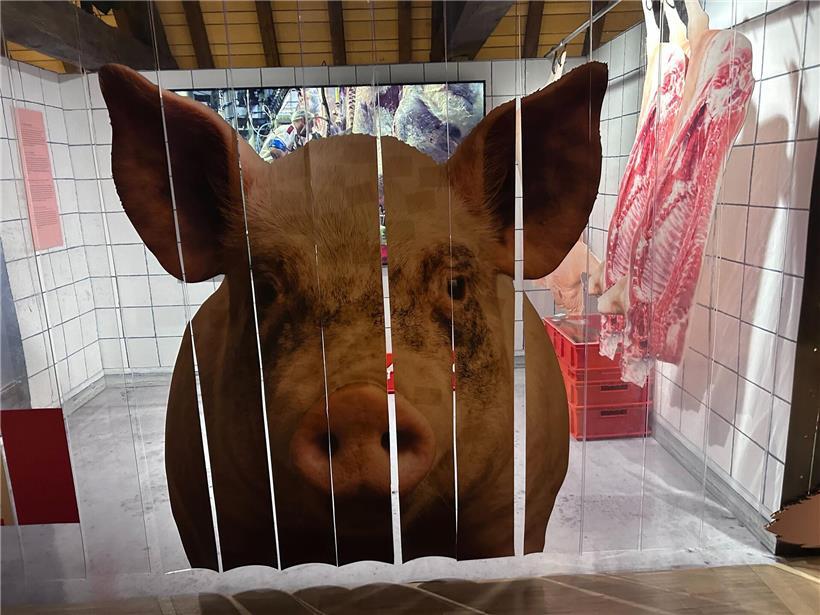 Ausstellung „animalEch“ zeigt interaktive Kunst zur Beziehung zwischen Menschen und Tieren im Kontext von Konsum und Nachhaltigkeit