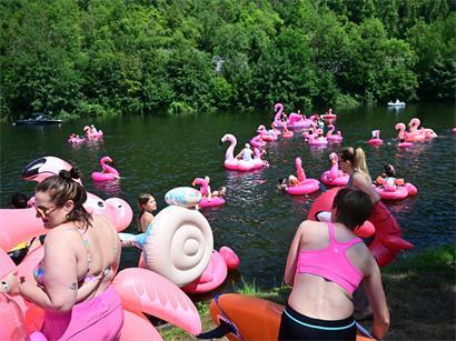 Aufblasbare Flamingos und pinke Kostüme prägten das Event auf dem Campingplatz
