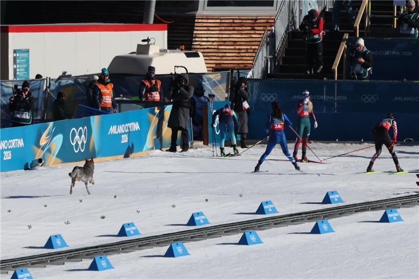 Langläuferinnen und ein Hund laufen gemeinsam ins Ziel beim Langlaufrennen im Schnee