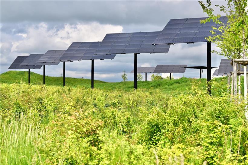 Agri-Photovoltaik-Anlage in Mertert mit Solarmodulen über landwirtschaftlichen Flächen, Netzengpässe bremsen Stromeinspeisung