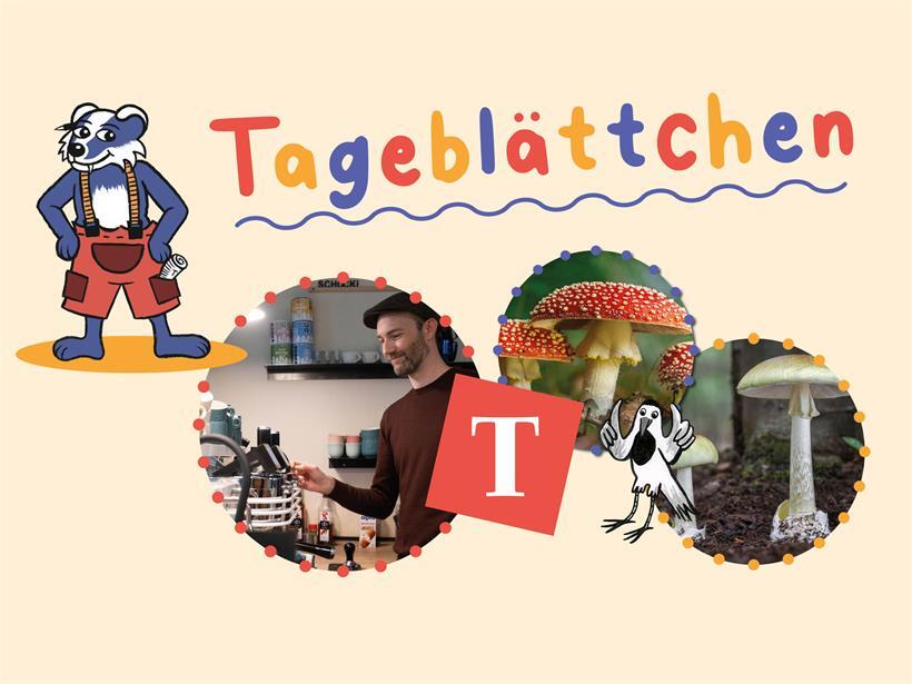 Von Kaffeebohnen und Pilzen 
