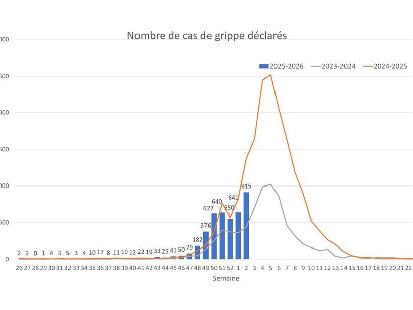 Grippefälle schnellen in die Höhe 