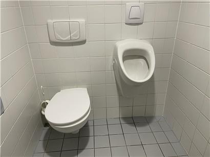 Unisex-WCs: Die Gleichung der Ungleichheit – Gleichheit ist gleiche Wartezeit