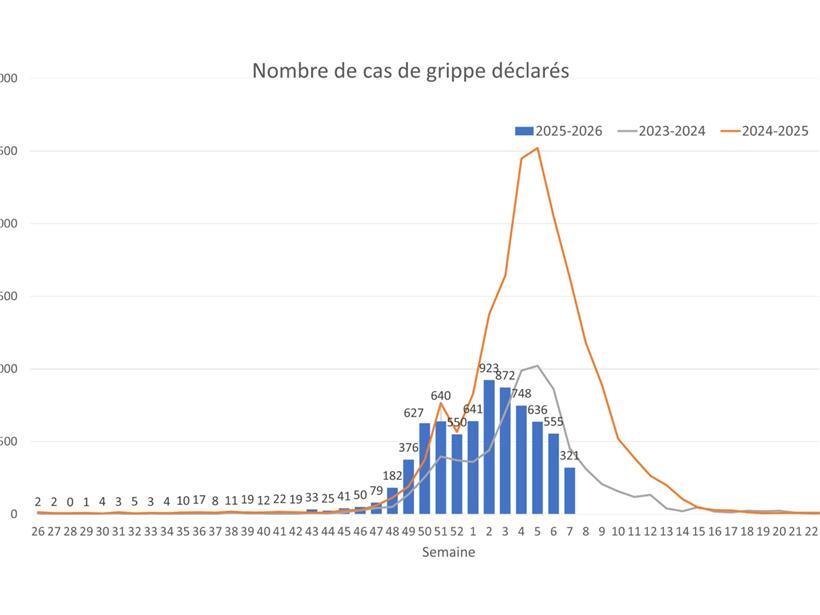 Die Zahl der Grippefälle nimmt in Luxemburg weiterhin ab 