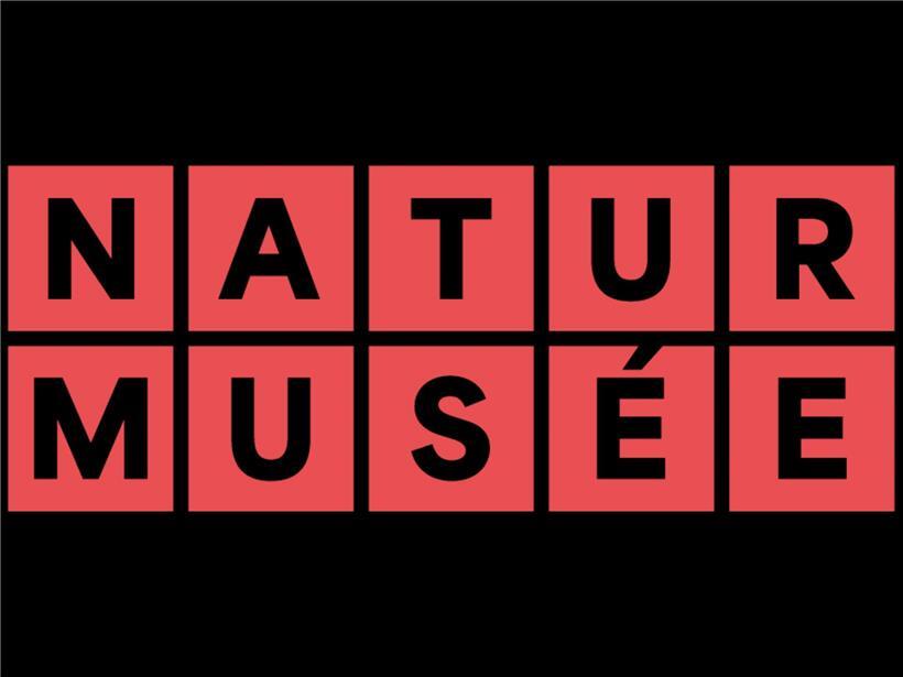 Was sich hinter den „Epreuves communes“ verbirgt und wie Kometen funktionieren 