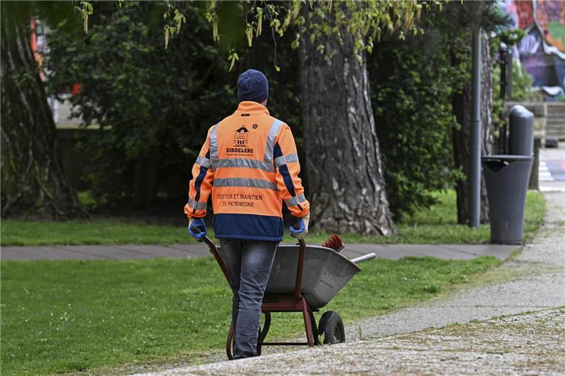 Düdelingen startet Umfrage zur Begrünung der Stadt 