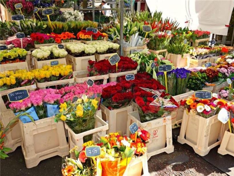Frühlingsstimmung beim „Blummentreff“ 