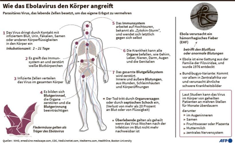 Ebola-Epidemie im Kongo weitet sich aus 