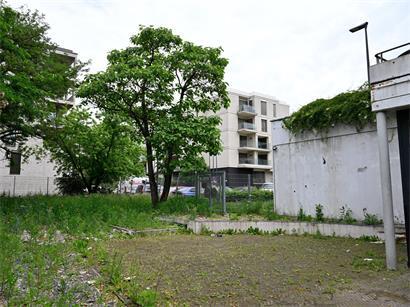Heiße Luft statt grüner Ideen