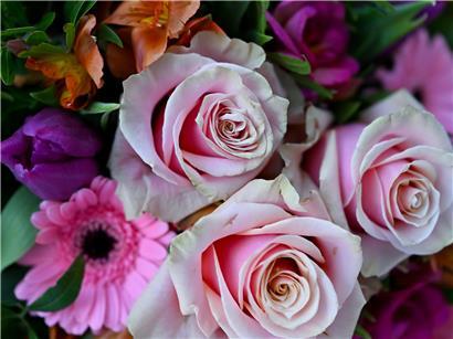 Blumensträuße im Februar mit 9 Prozent höheren Preisen laut Statec, frische Schnittblumen im Trend