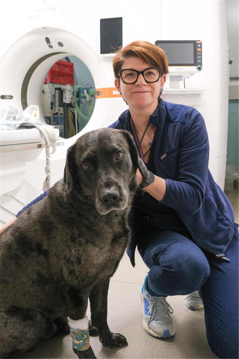 Carole streichelt liebevoll einen Hund im Park – engagierte Tierschützerin hilft Tieren in Not