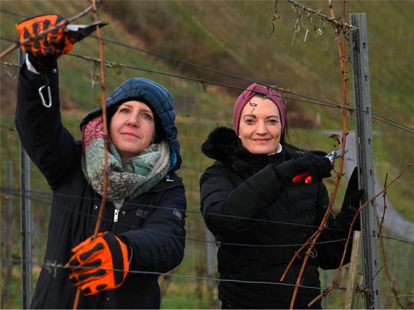 Carole und Jenny beim ersten Einsatz im Wéngert

