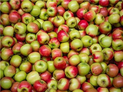 Konventionell angebaute Äpfel aus Luxemburg mit hohen Pestizidrückständen laut Pesticide Action Network Europe