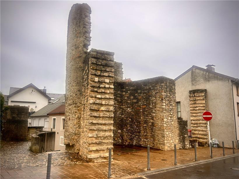 „Skulptur ‚Den huelen Zant‘ in Grevenmacher aus Holz, moderne Kunst im öffentlichen Raum“