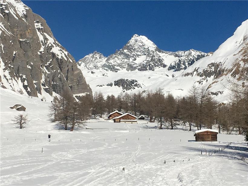 Großglockner Berg in Österreich mit schneebedecktem Gipfel und klarem blauem Himmel, höchster Berg mit 3.798 Metern