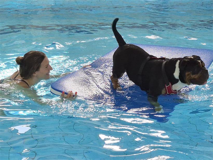 „Muppeschwammen“ in Colmar-Berg: Wau, was für ein Spaß! Der „Nordpool“ hat Matten und schwimmendes Hundespielzeug bereitgelegt