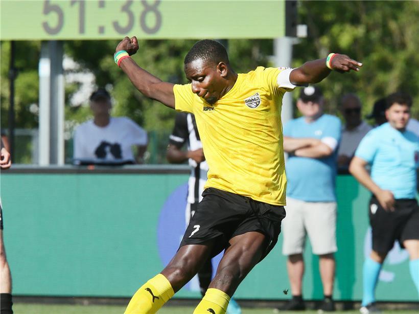 Fine Bop, Wiltzer Neuzugang, entspannt sich glücklich im neuen Teamumfeld beim Training