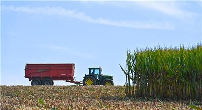 Aktionsplan zur Ernährungssicherheit und Reduzierung von Lebensmittelverschwendung für nachhaltige Zukunft