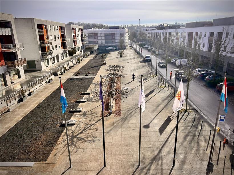 Großflächiger, versiegelter Rathausplatz mit wenig Schatten, circa 4.500 Quadratmeter urbaner Asphaltfläche