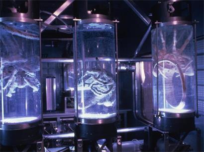 Des créatures iconiques dans l’histoire du film: les xénomorphes de la franchise „Alien“, conçus par le sculpteur et designer suisse, H.R. Giger
