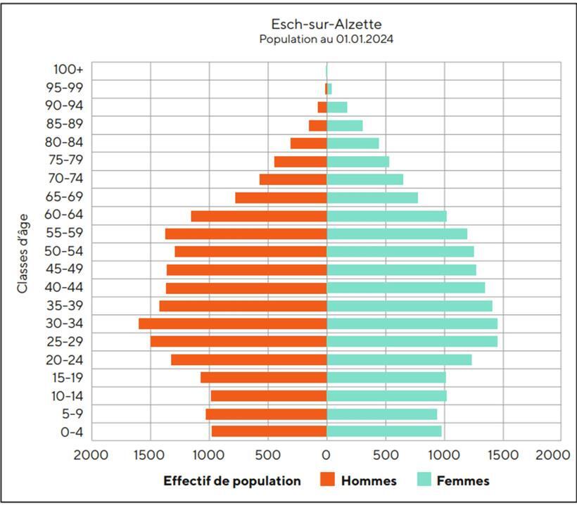 Alterspyramide Esch in Form eines Tannenbaums – symbolische Darstellung der Bevölkerungsstruktur in Esch