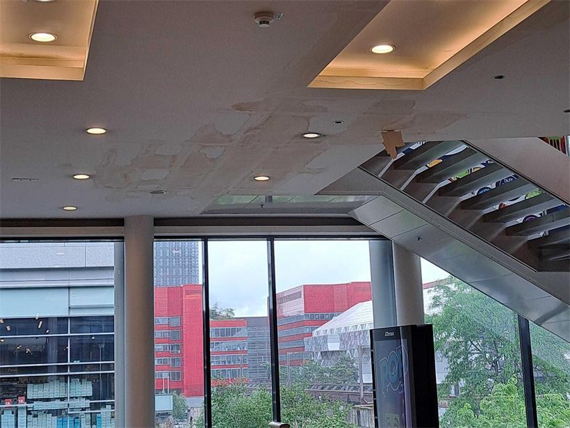 Feuchte Decke mit sichtbaren Wasserschäden und Schimmelbildung durch eingezogene Feuchtigkeit