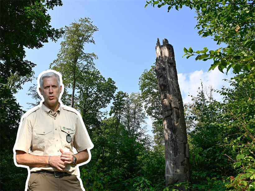 Die Forstverwaltung warnte am Donnerstag vor der zunehmenden Trockenheit im Wald