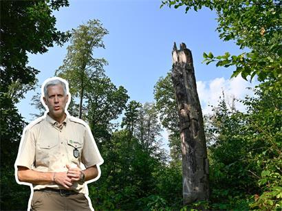 Die Forstverwaltung warnte am Donnerstag vor der zunehmenden Trockenheit im Wald