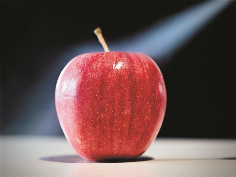 Vergiftete Frucht der Erkenntnis auf dunklem Hintergrund symbolisiert gefährliches Wissen und verbotene Erkenntnis