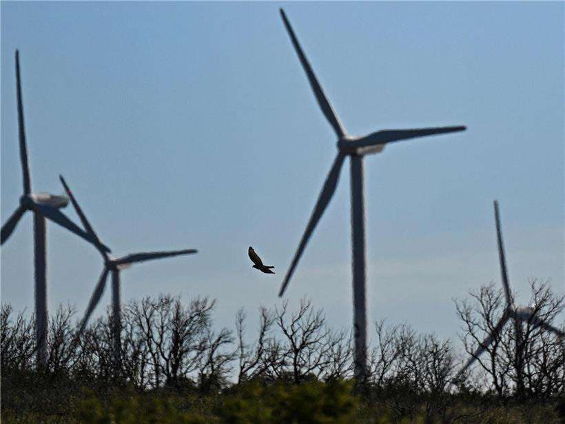 Rekordinvestitionen in die Energiewende 2023 in der EU mit erneuerbaren Energien und nachhaltiger Technologie