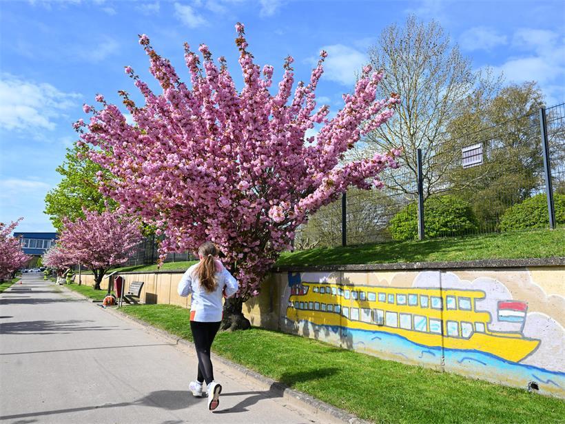 Die Menschen konnten den Frühling in Luxemburg draußen genießen – normal war das verglichen mit den Referenzwerten nicht