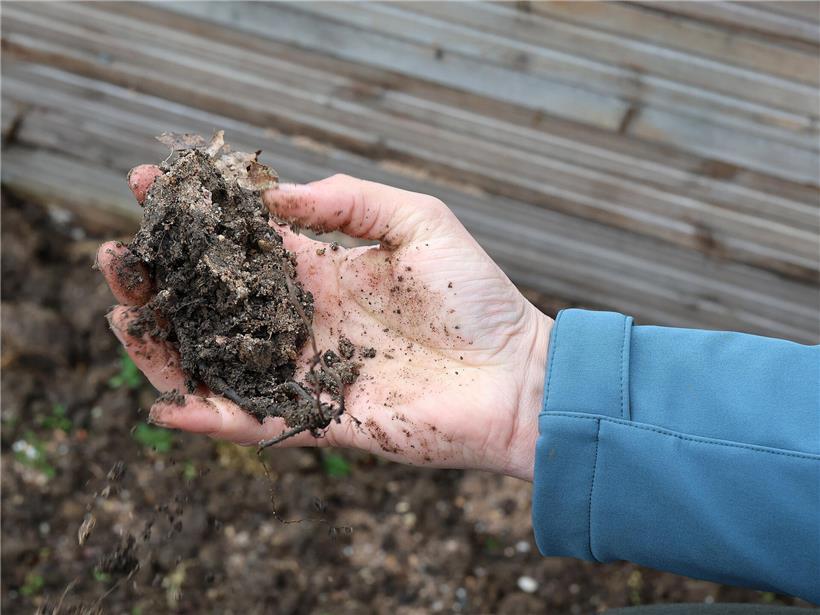 Bodenproben entnehmen und Bodenart selbst testen für Garten und Landwirtschaft leicht gemacht