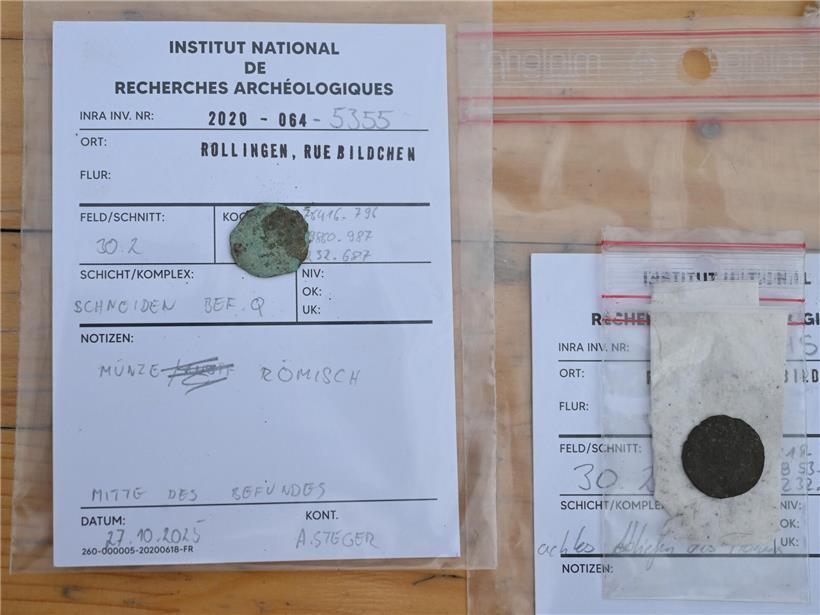 Fundstücke sorgfältig klassifiziert und geordnet für archäologische Dokumentation und Lagerung