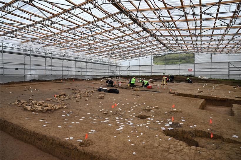 Weites Feld mit weißen Zetteln als Markierung besonderer Fundstellen für archäologische Untersuchungen