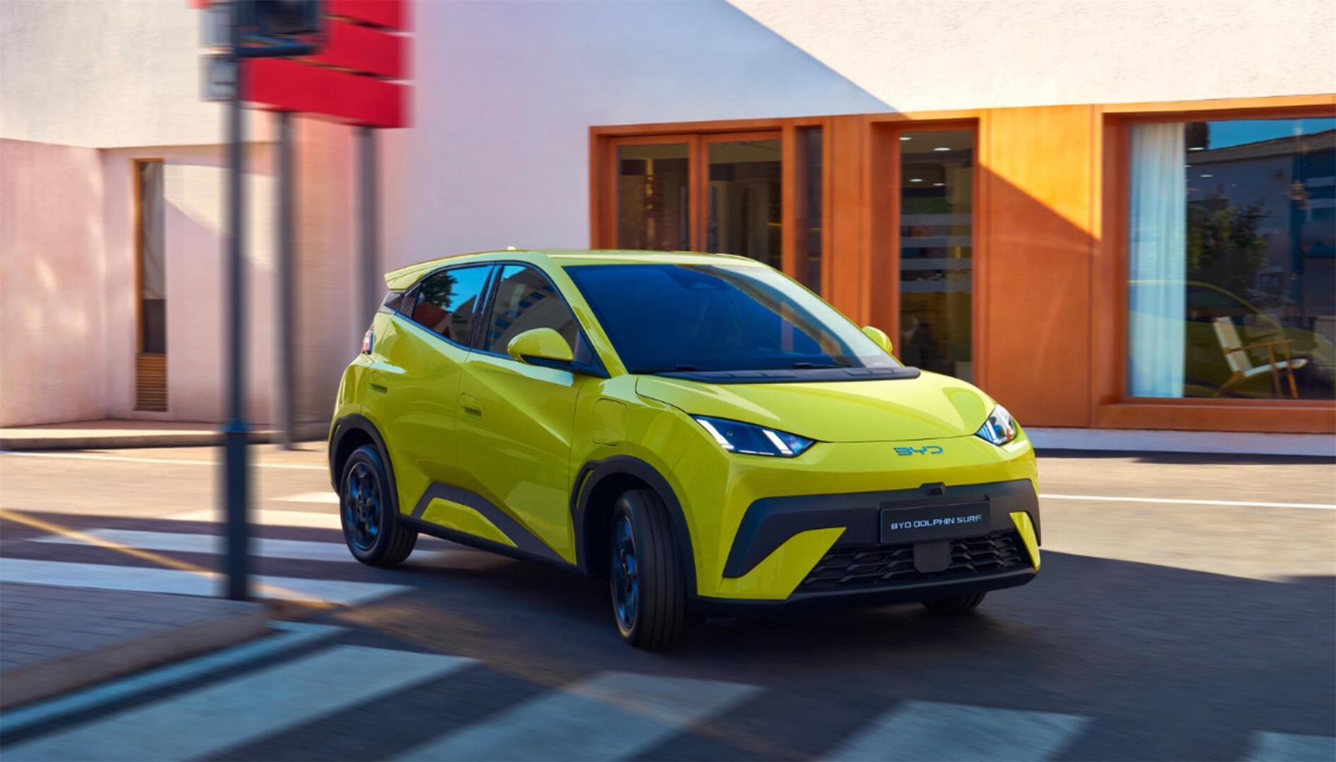 Delfin springt dynamisch aus dem Wasser beim Surfen an der Küste bei sonnigem Wetter