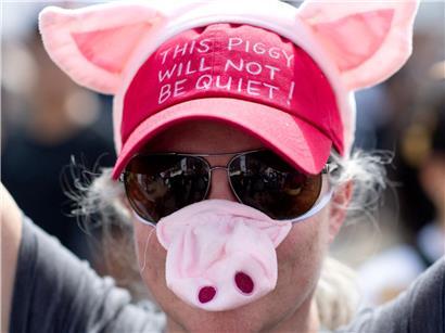 Demonstrant mit Schweinenase und rotem Hut „This Piggy Will Not Be Quiet“ bei No Kings Kundgebung in Denver 2026