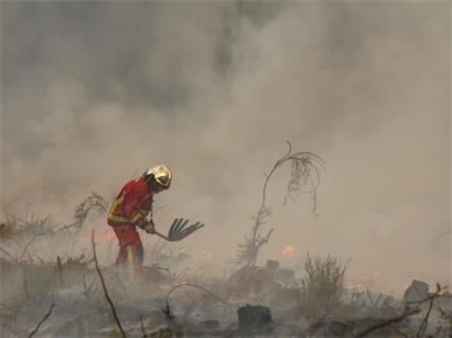 Ein Feuerwehrmann aus Paris bekämpft in Marcheprime westlich von Bordeaux kleinere Brandherde