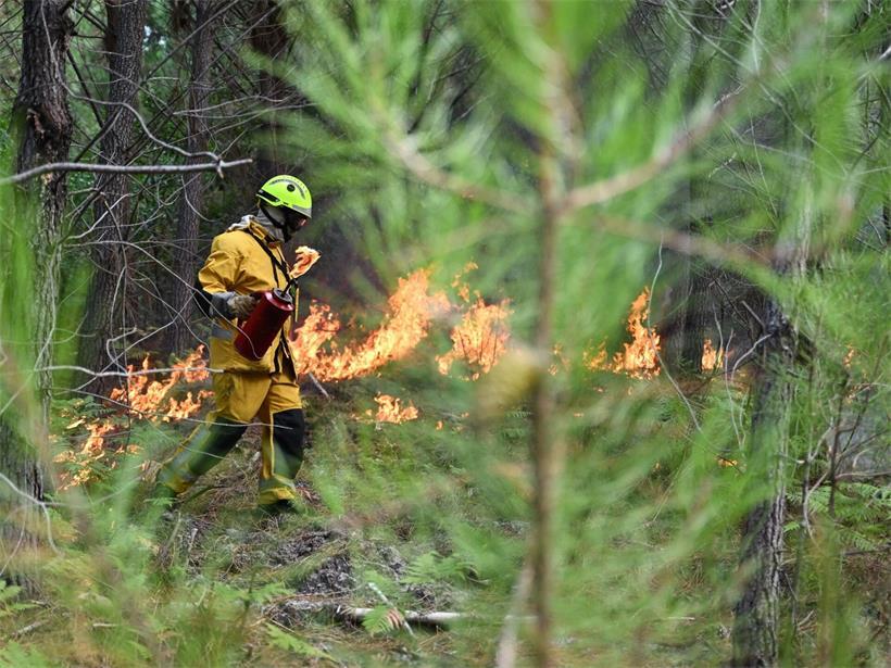 Ein Feuerwehrmann legt während der Waldbrände im Südwesten Frankreichs in der Nähe von Lege-Cap-Ferret ein kontrolliertes Feuer an, um das Brandgebiet einzudämmen.
