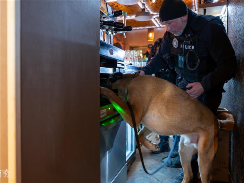 Hund schnüffelt bei Drogenkontrolle im Bahnhofsviertel, Polizeieinsatz zur Sicherheit im öffentlichen Raum