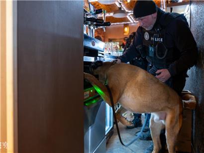 Hund schnüffelt bei Drogenkontrolle im Bahnhofsviertel, Polizeieinsatz zur Sicherheit im öffentlichen Raum