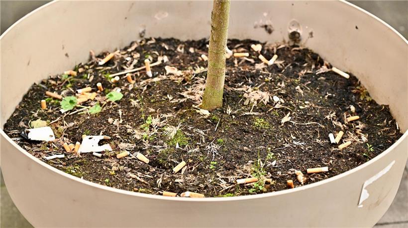 Pflanzentopf als Aschenbecher umfunktioniert, nachhaltige DIY-Idee für umweltfreundliche Müllentsorgung