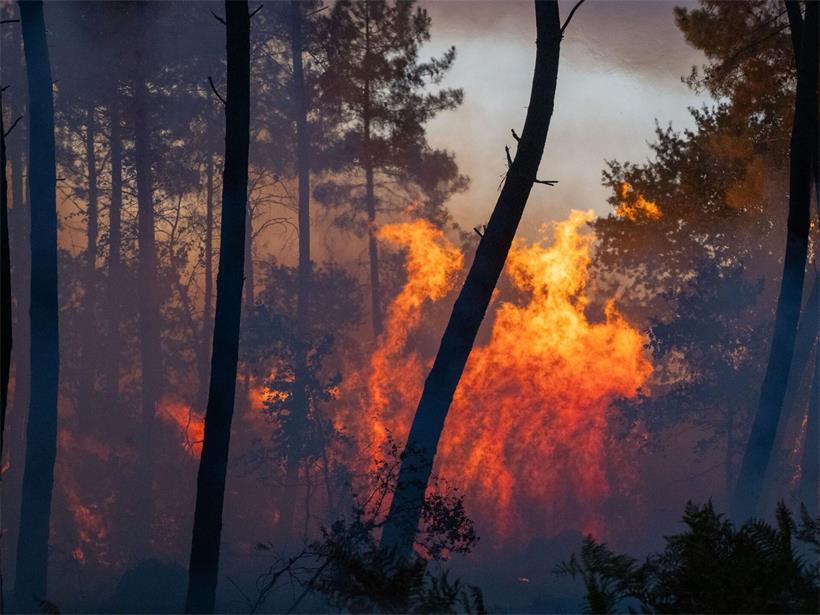 Ein Waldbrand breiten sich in der Nähe der Region Le Proge im Westen Frankreichs aus