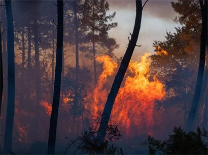 Ein Waldbrand breiten sich in der Nähe der Region Le Proge im Westen Frankreichs aus